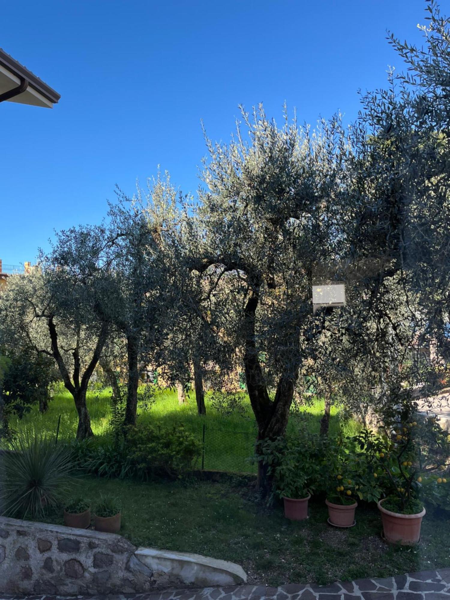 Casa Noario Lägenhet Malcesine Exteriör bild