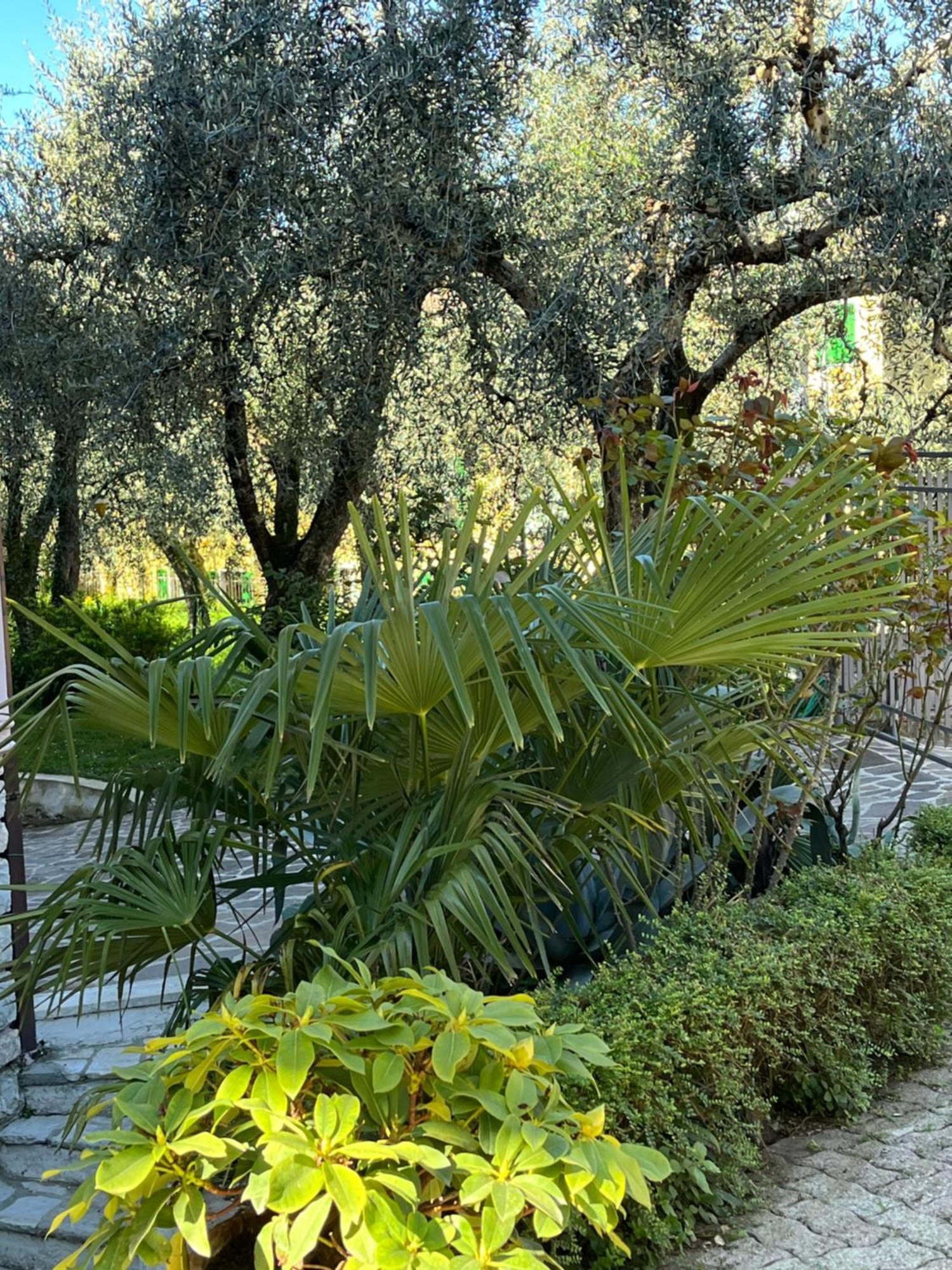 Casa Noario Lägenhet Malcesine Exteriör bild