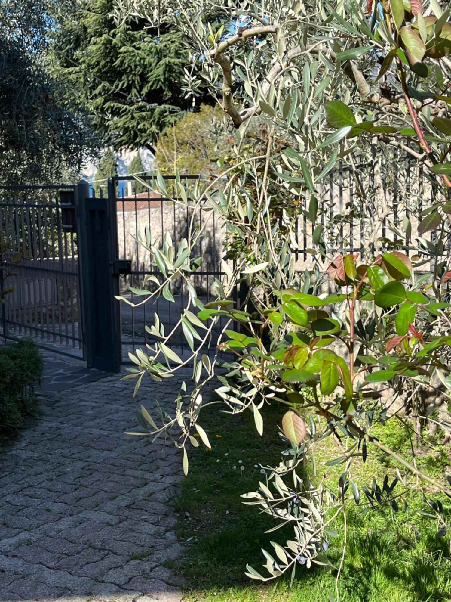Casa Noario Lägenhet Malcesine Exteriör bild